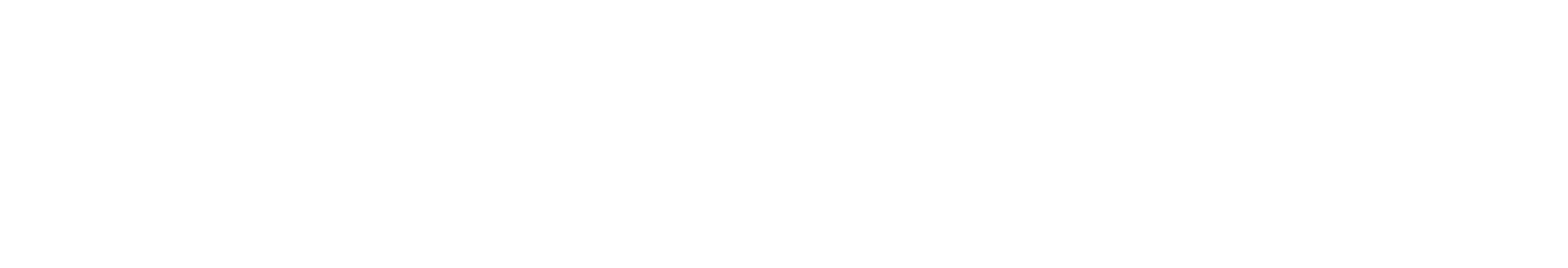 The Drone Company